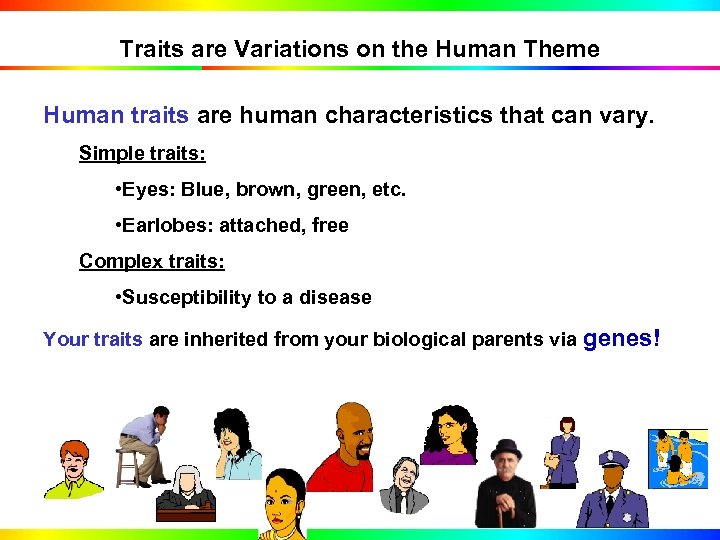 Traits are Variations on the Human Theme Human traits are human characteristics that can