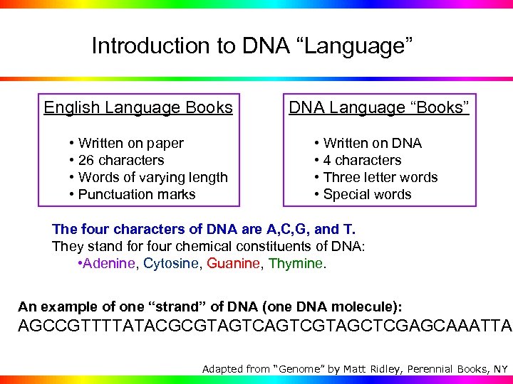 Introduction to DNA “Language” English Language Books • Written on paper • 26 characters