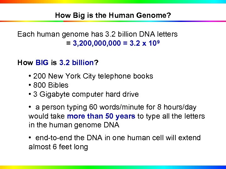 How Big is the Human Genome? Each human genome has 3. 2 billion DNA