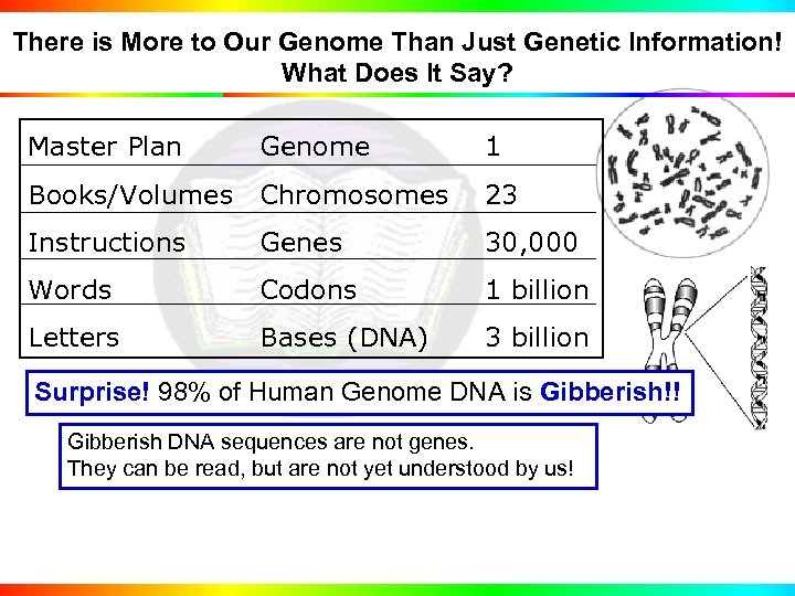 There is More to Our Genome Than Just Genetic Information! What Does It Say?