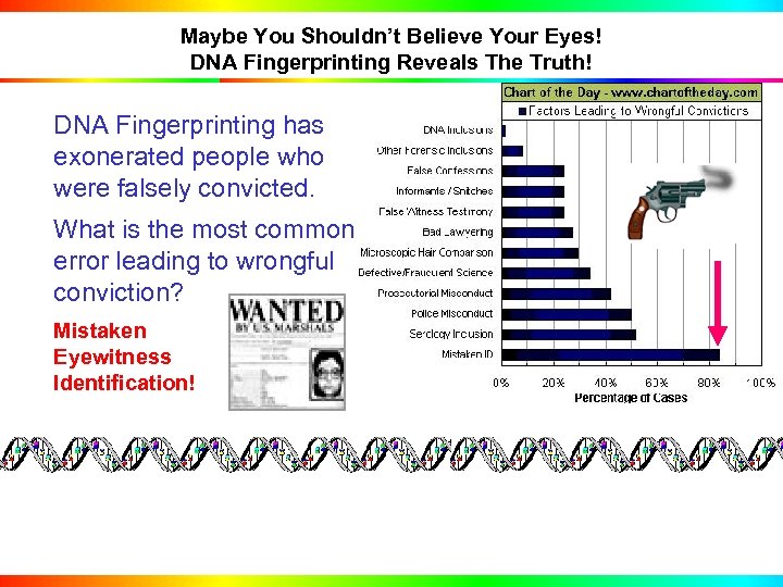 Maybe You Shouldn’t Believe Your Eyes! DNA Fingerprinting Reveals The Truth! DNA Fingerprinting has