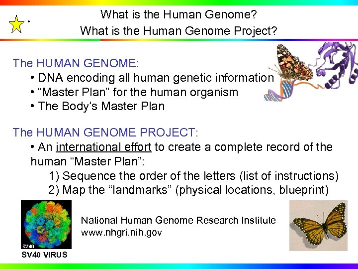 . What is the Human Genome? What is the Human Genome Project? The HUMAN