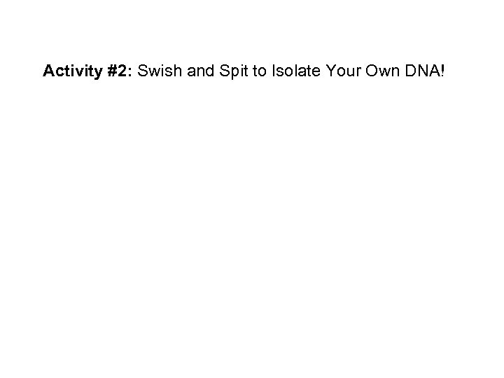 Activity #2: Swish and Spit to Isolate Your Own DNA! 