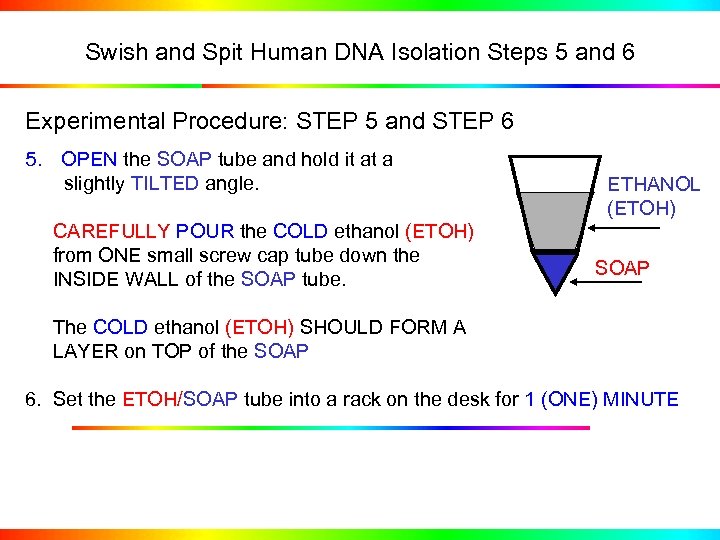 Swish and Spit Human DNA Isolation Steps 5 and 6 Experimental Procedure: STEP 5