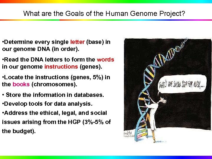 What are the Goals of the Human Genome Project? • Determine every single letter