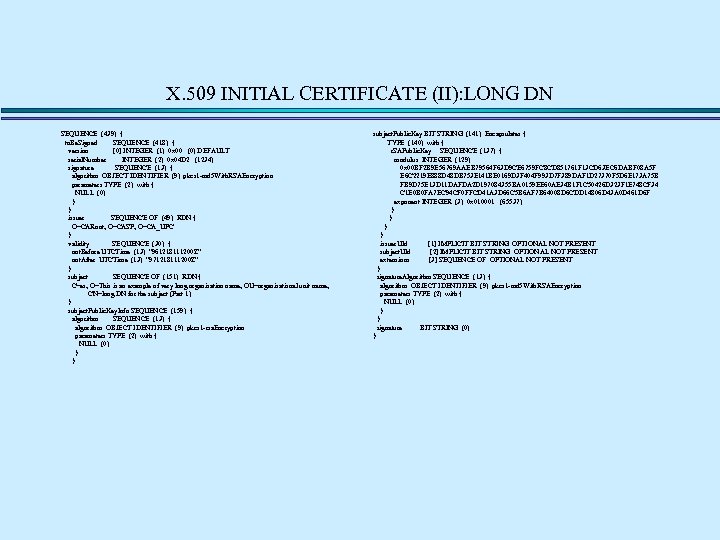 X. 509 INITIAL CERTIFICATE (II): LONG DN SEQUENCE (439) { to. Be. Signed SEQUENCE