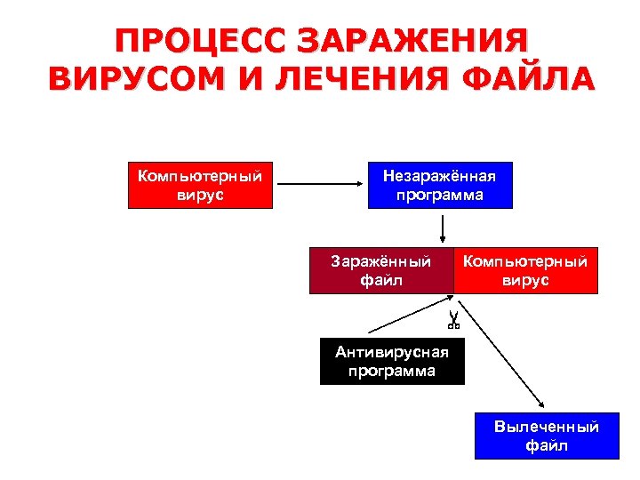 ПРОЦЕСС ЗАРАЖЕНИЯ ВИРУСОМ И ЛЕЧЕНИЯ ФАЙЛА Компьютерный вирус Незаражённая программа Заражённый файл Компьютерный вирус