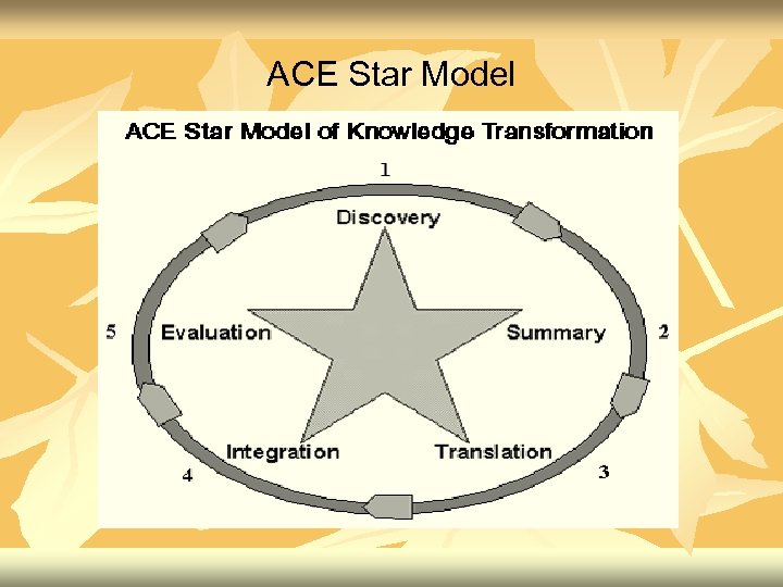 ACE Star Model 