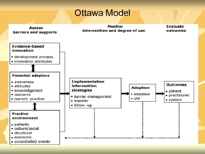 Ottawa Model 