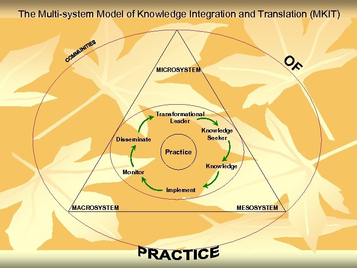 The Multi-system Model of Knowledge Integration and Translation (MKIT) O F MICROSYSTEM Transformational Leader