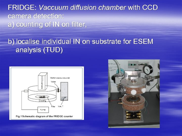 FRIDGE: Vaccuum diffusion chamber with CCD camera detection: a) counting of IN on filter,