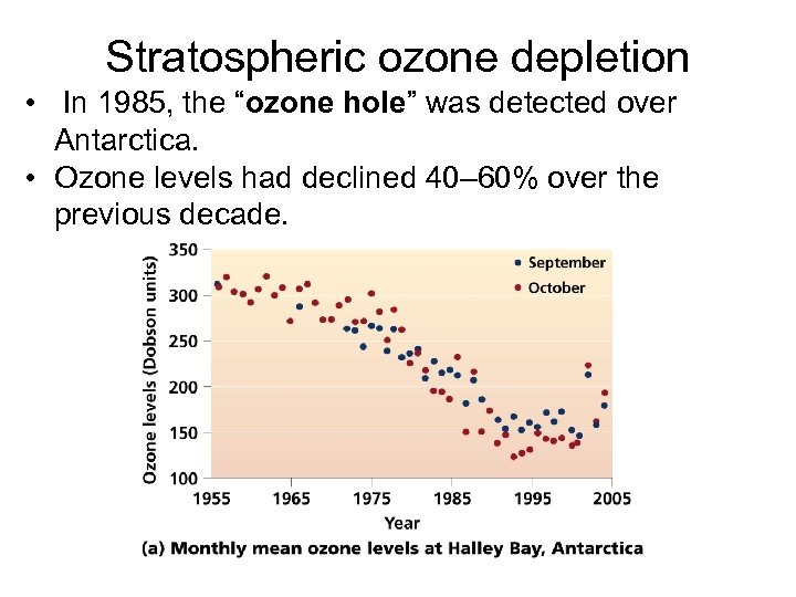 Stratospheric ozone depletion • In 1985, the “ozone hole” was detected over Antarctica. •