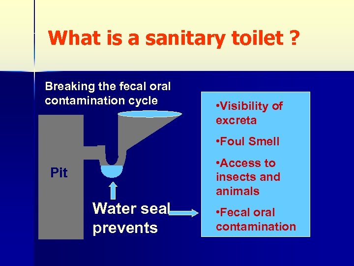 What is a sanitary toilet ? Breaking the fecal oral contamination cycle • Visibility
