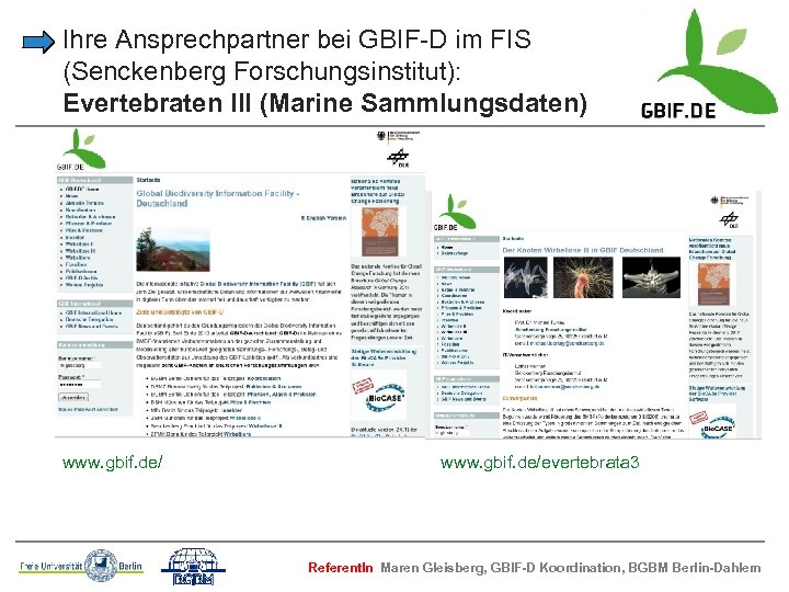 Ihre Ansprechpartner bei GBIF-D im FIS (Senckenberg Forschungsinstitut): Evertebraten III (Marine Sammlungsdaten) www. gbif.