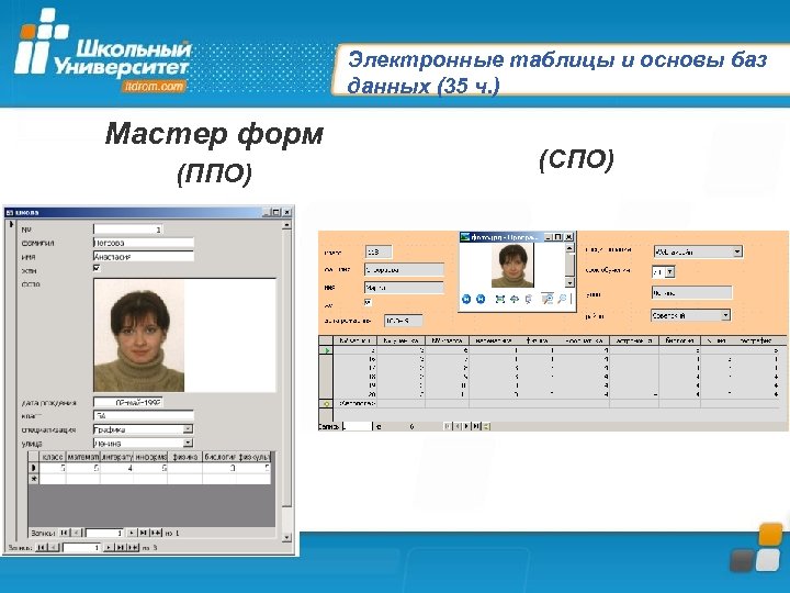 Электронные таблицы и основы баз данных (35 ч. ) Мастер форм (ППО) (СПО) 