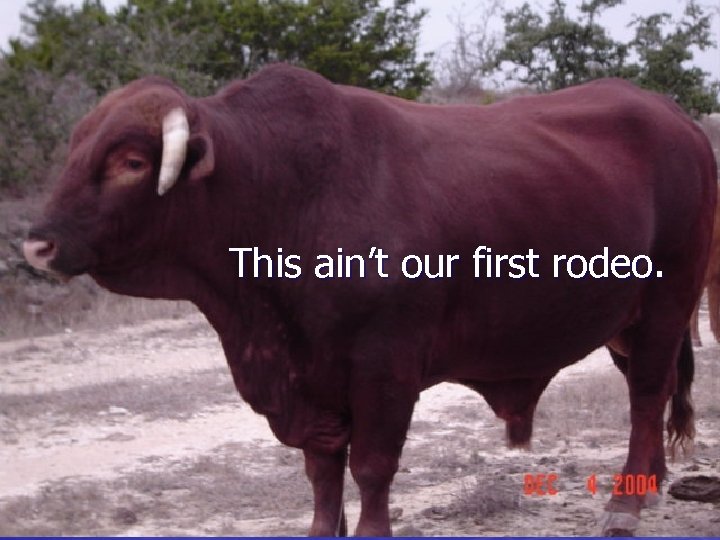 This ain’t our first rodeo. 