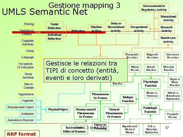 Gestione mapping 3 Governmental or Regulatory Activity UMLS Semantic Net Finding Intellectual Product Organism