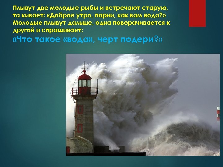 Плывут две молодые рыбы и встречают старую, та кивает: «Доброе утро, парни, как вам