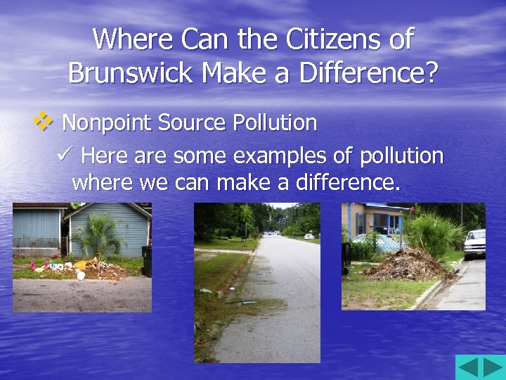 Where Can the Citizens of Brunswick Make a Difference? v Nonpoint Source Pollution ü