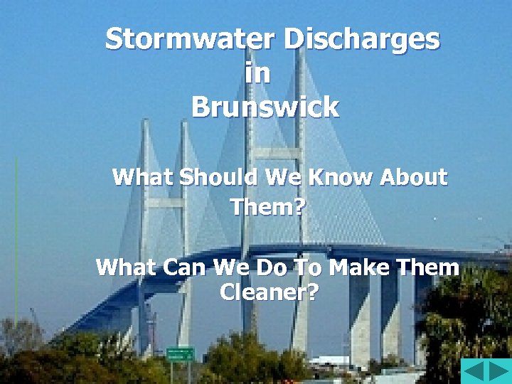 Stormwater Discharges in Brunswick What Should We Know About Them? What Can We Do
