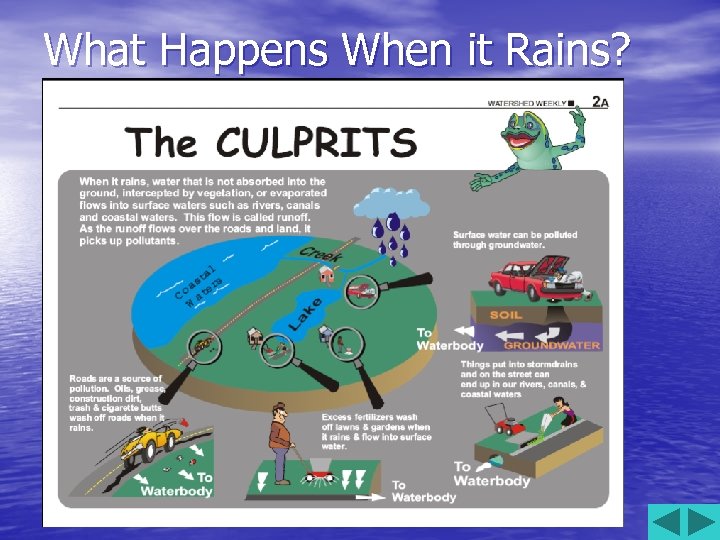 What Happens When it Rains? 