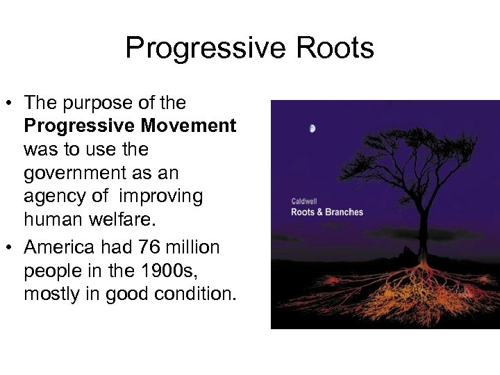 Progressive Roots • The purpose of the Progressive Movement was to use the government