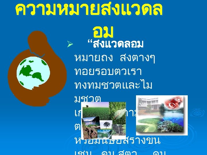 ความหมายสงแวดล อม Ø “สงแวดลอม หมายถง สงตางๆ ทอยรอบตวเรา ทงทมชวตและไม มชวต เกดขนเองตามธรรมชา ต หรอมนษยสรางขน 