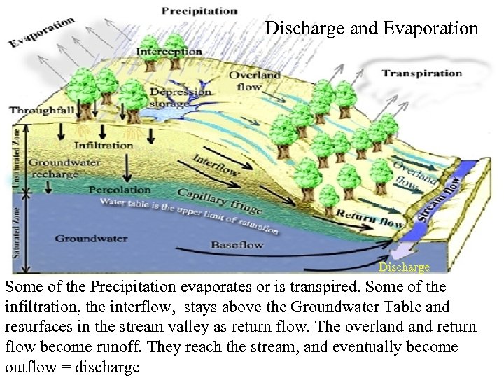 Discharge and Evaporation Discharge Some of the Precipitation evaporates or is transpired. Some of