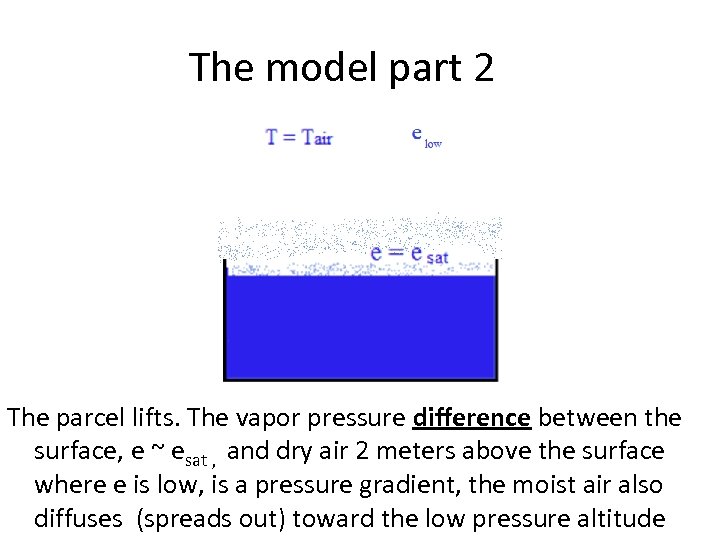 The model part 2 The parcel lifts. The vapor pressure difference between the surface,