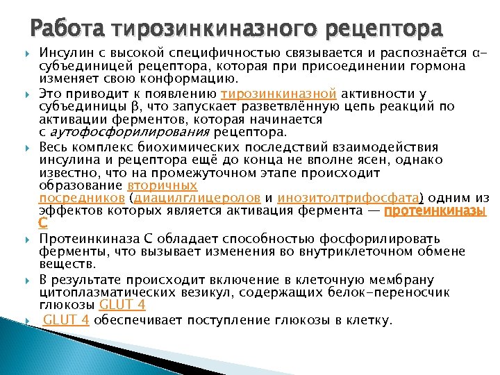 Работа тирозинкиназного рецептора Инсулин с высокой специфичностью связывается и распознаётся αсубъединицей рецептора, которая присоединении