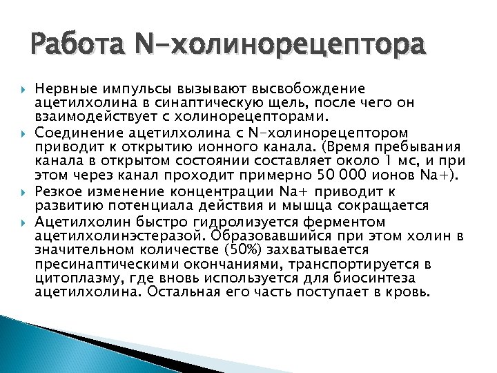 Работа N-холинорецептора Нервные импульсы вызывают высвобождение ацетилхолина в синаптическую щель, после чего он взаимодействует