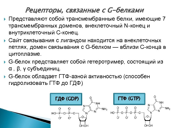Рецепторы, связанные с G-белками Представляют собой трансмембранные белки, имеющие 7 трансмембранных доменов, внеклеточный N-конец
