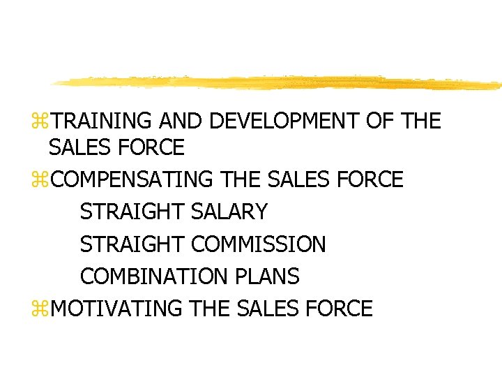 z. TRAINING AND DEVELOPMENT OF THE SALES FORCE z. COMPENSATING THE SALES FORCE STRAIGHT