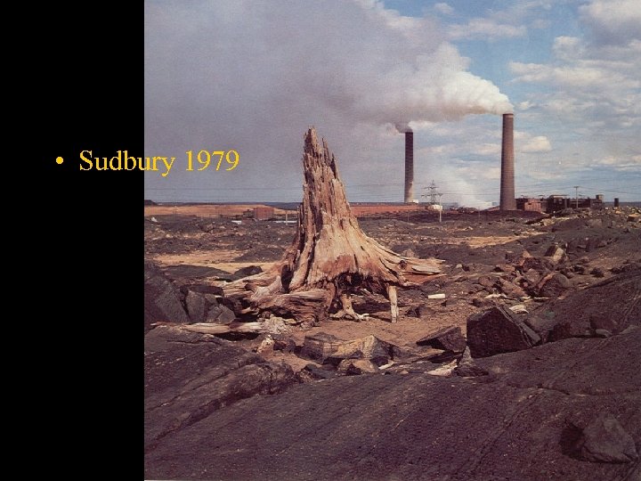  • Sudbury 1979 