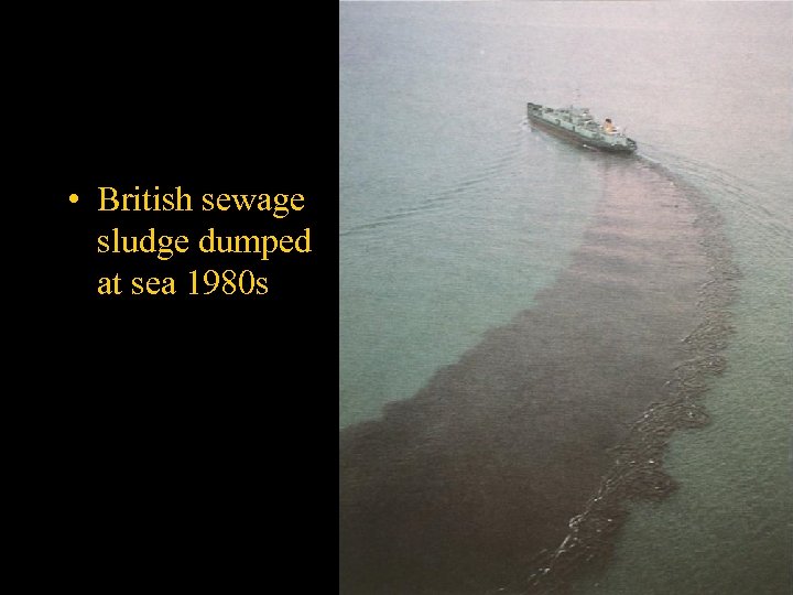  • British sewage sludge dumped at sea 1980 s 