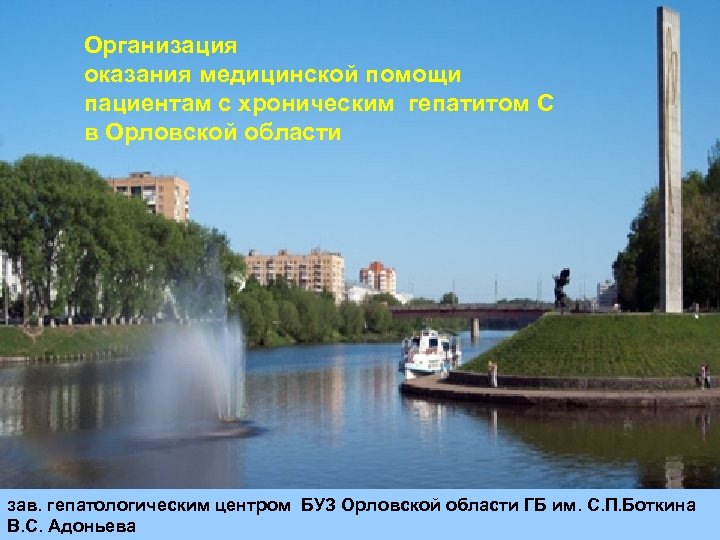 Организация оказания медицинской помощи пациентам с хроническим гепатитом С в Орловской области зав. гепатологическим