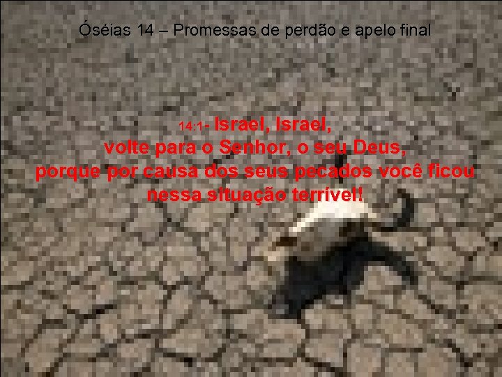 Óséias 14 – Promessas de perdão e apelo final Israel, volte para o Senhor,