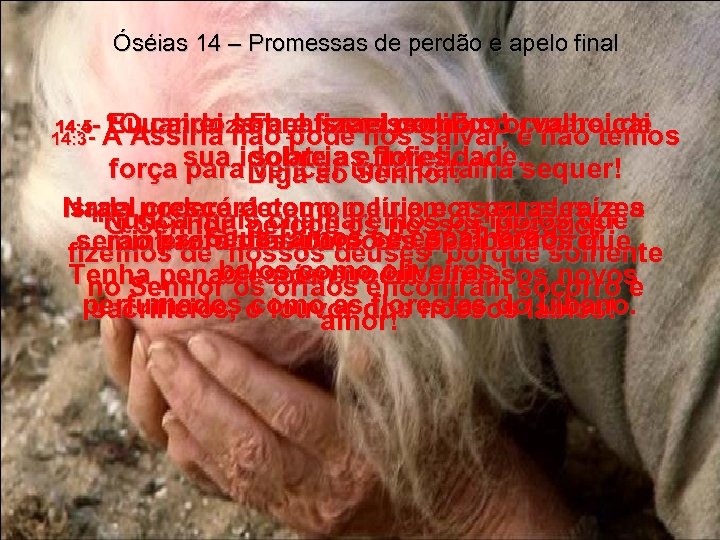 Óséias 14 – Promessas de perdão e apelo final 14: 4 - “Quando sobre