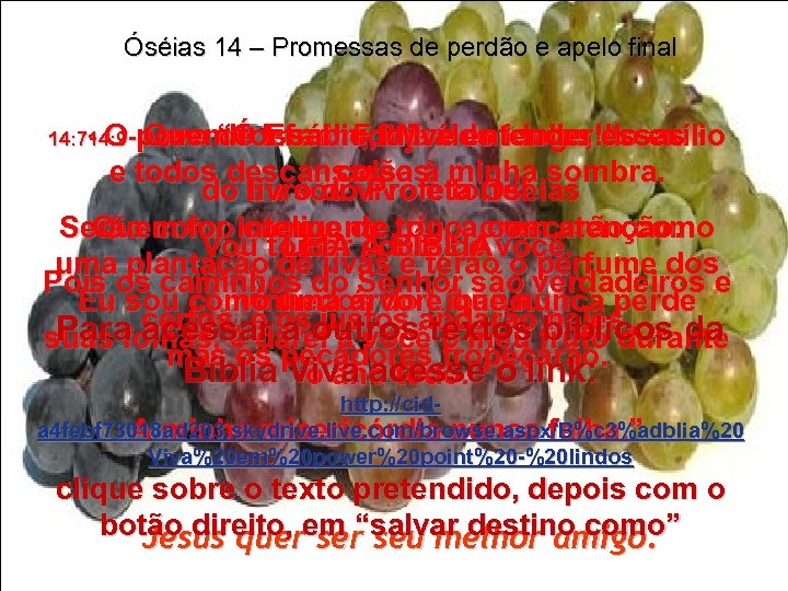 Óséias 14 – Promessas de perdão e apelo final 14: 7 - O-povo “Ó