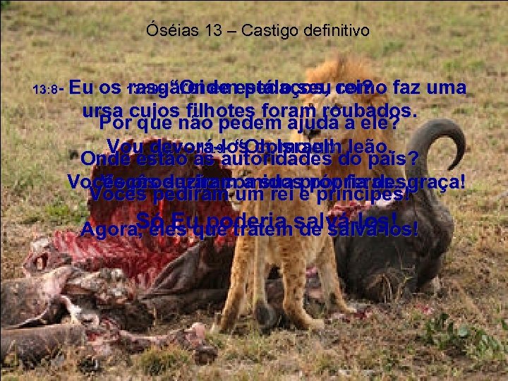 Óséias 13 – Castigo definitivo 13: 8 - Eu os 13: 10 - “Onde