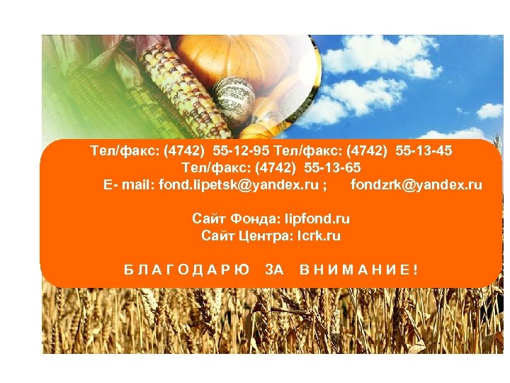 Тел/факс: (4742) 55 -12 -95 Тел/факс: (4742) 55 -13 -45 Тел/факс: (4742) 55 -13