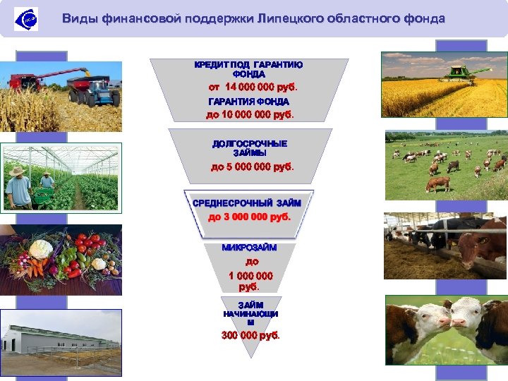 Виды финансовой поддержки Липецкого областного фонда КРЕДИТ ПОД ГАРАНТИЮ ФОНДА от 14 000 руб.