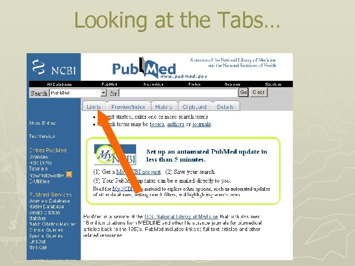 Looking at the Tabs… 