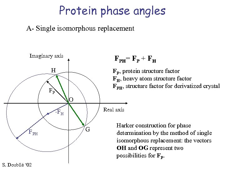 Protein phase angles A- Single isomorphous replacement Imaginary axis FPH= FP + FH H