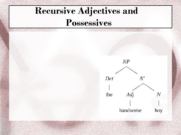 Recursive Adjectives and Possessives 