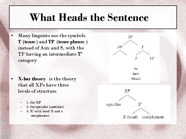 What Heads the Sentence • Many linguists use the symbols T (tense ) and
