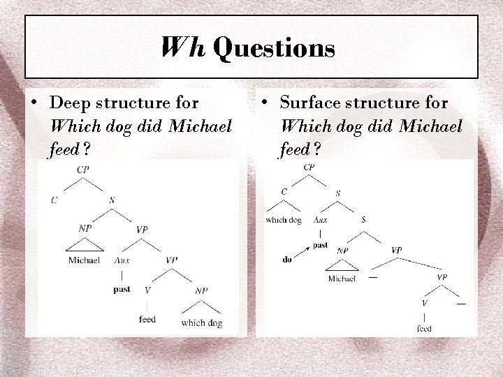 Wh Questions • Deep structure for Which dog did Michael feed ? • Surface