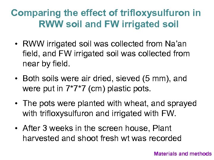 Comparing the effect of trifloxysulfuron in RWW soil and FW irrigated soil • RWW