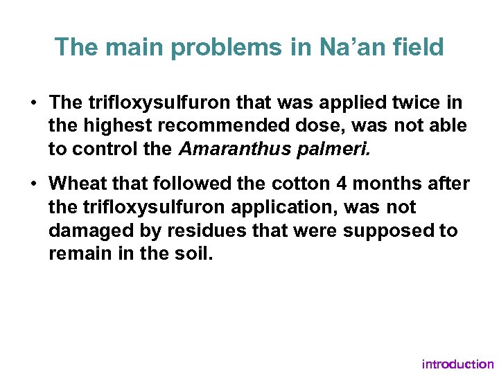 The main problems in Na’an field • The trifloxysulfuron that was applied twice in