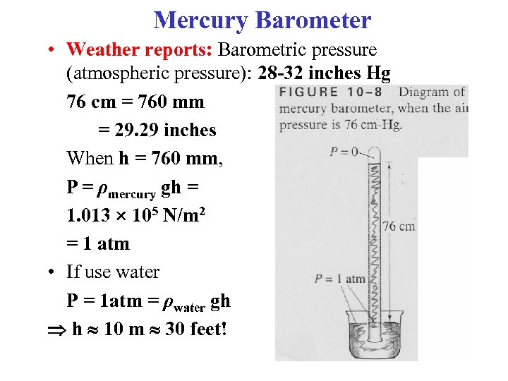 Mercury Barometer • Weather reports: Barometric pressure (atmospheric pressure): 28 -32 inches Hg 76